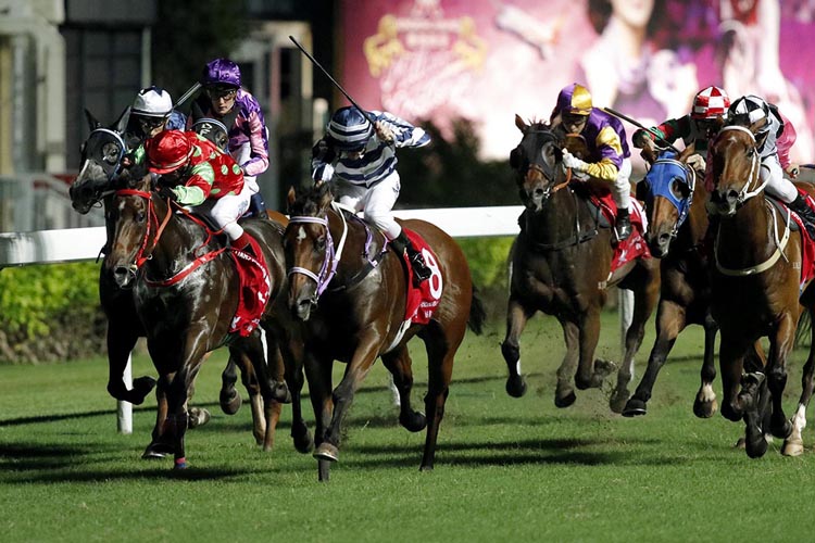 Eighty Eighty winning the Shun Lee Hcp (C3) Eighty Eighty winning the Shun Lee Hcp (C3)