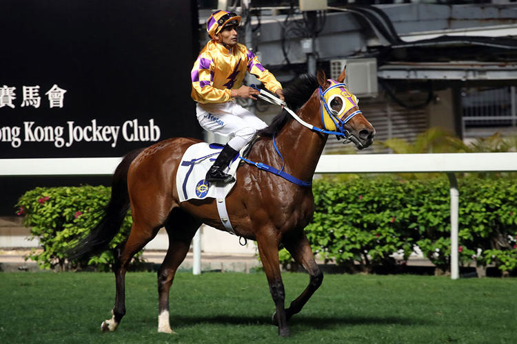 Electric Lightning winning the MOUNT BUTLER HANDICAP Electric Lightning winning the MOUNT BUTLER HANDICAP