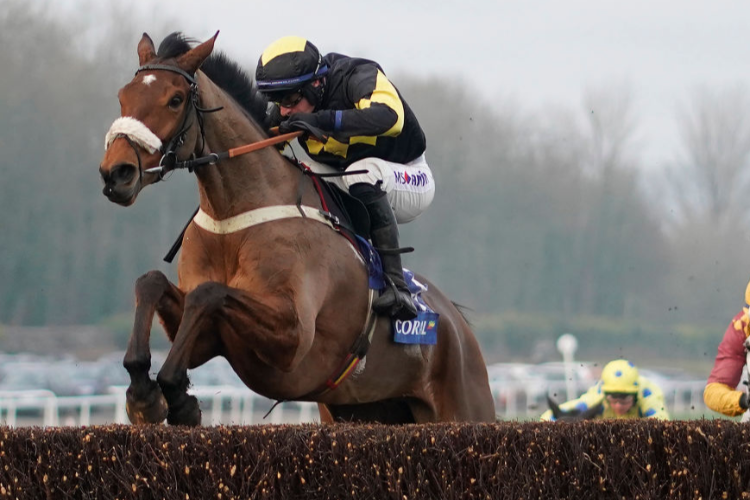 ELEGANT ESCAPE winning the Coral Welsh Grand National Handicap Steeple Chase in Chepstow, Wales.