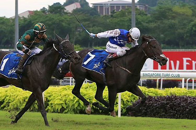 Elite Invincible winning the DESTER SINGAPORE GOLD CUP