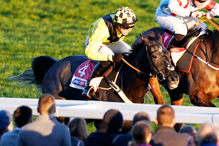 ELIXIR DE NUTZ winning the Sky Bet Supreme Trial Novices Hurdle in Cheltenham, England.