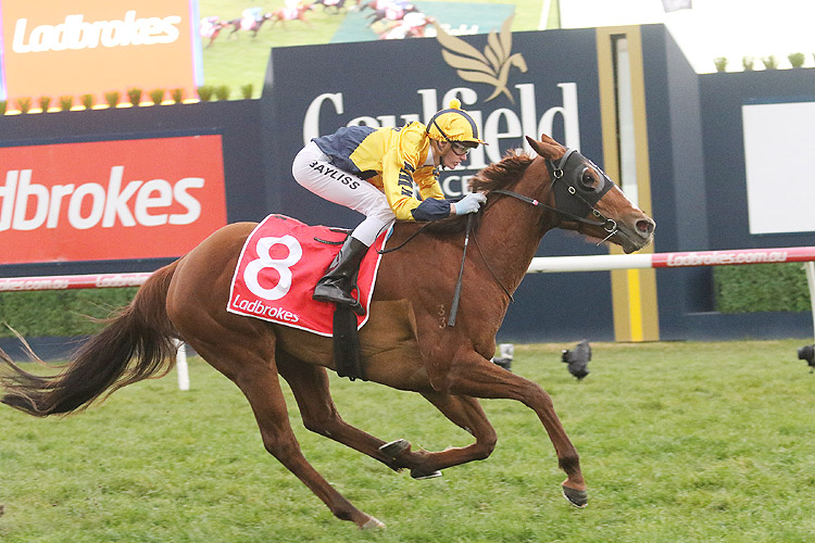 Ellicazoom winning the Ladbrokes Cockram Stakes Ellicazoom winning the Ladbrokes Cockram Stakes