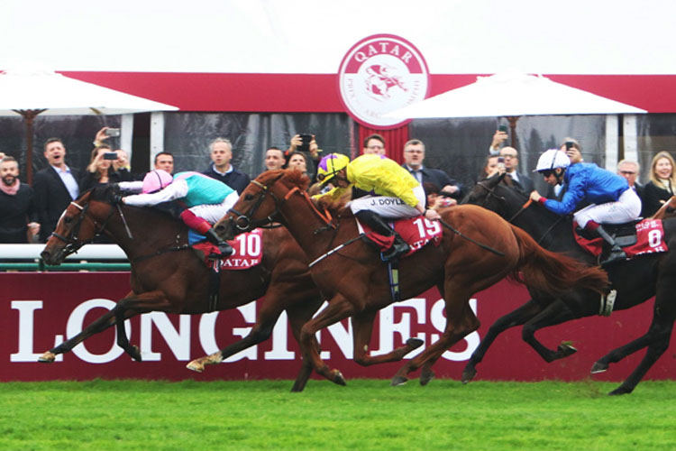 Enable Enable