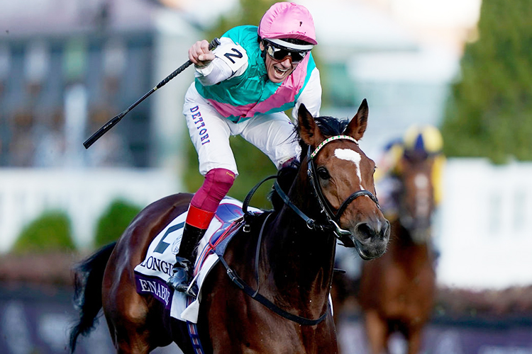 ENABLE winning the Longines Breeders' Cup Turf race at Churchill Downs in Louisville, Kentucky.