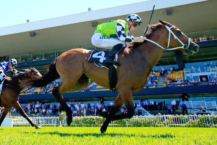 EXOTERIC winning the ATC Cup during Sydney Racing at Rosehill Gardens in Sydney, Australia.