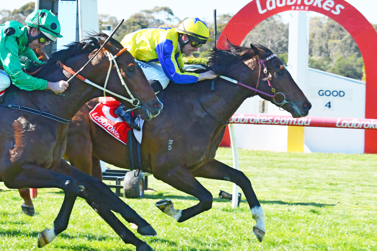 EXTRA BRUT winning the Vale Martin Riley Mdn Plate during Melbourne Racing at Sandown Hillside in Melbourne, Australia.
