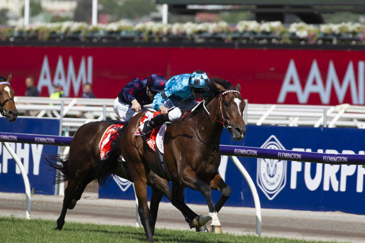 Extra Brut winning the Aami Victoria Derby