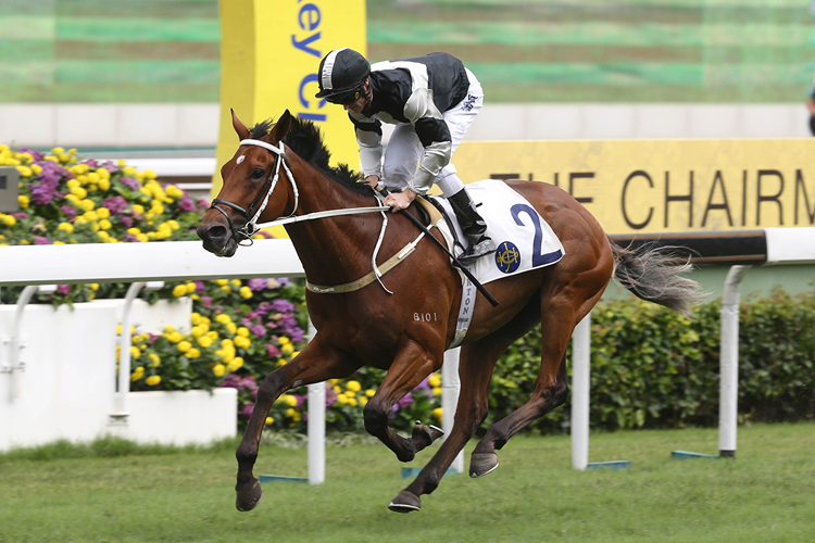 Exultant is seeking a first G2 success in Sunday’s Jockey Club Cup.
