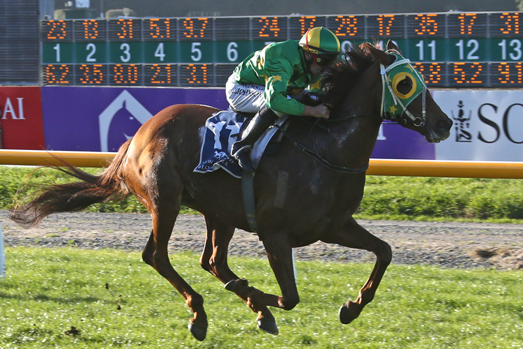 Fascinate winning the D Bannan Mem Great Easter Stks