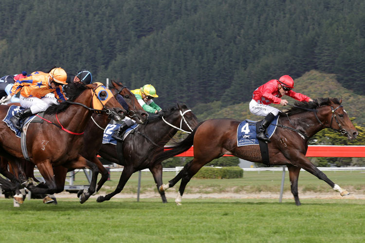 Ferrando winning the Te Akau Racing Lightning Hcp