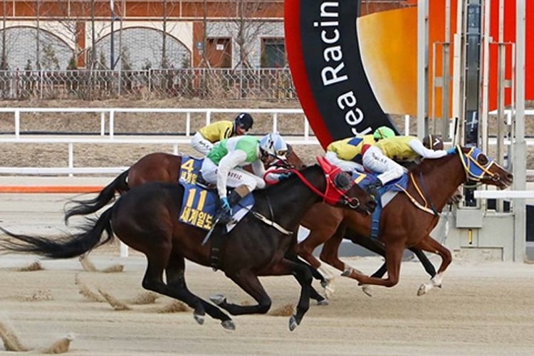 Final Boss gets up to defeat City Star, Cheonji Storm & Always Winner in the SegyeIlbo Cup