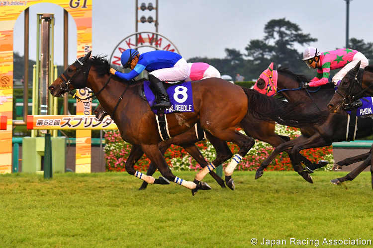 FINE NEEDLE winning the Sprinters Stakes at Nakayama in Japan.