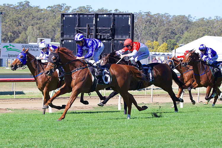 Fit For Purpose winning the Ray White Ipswich (Bm75)