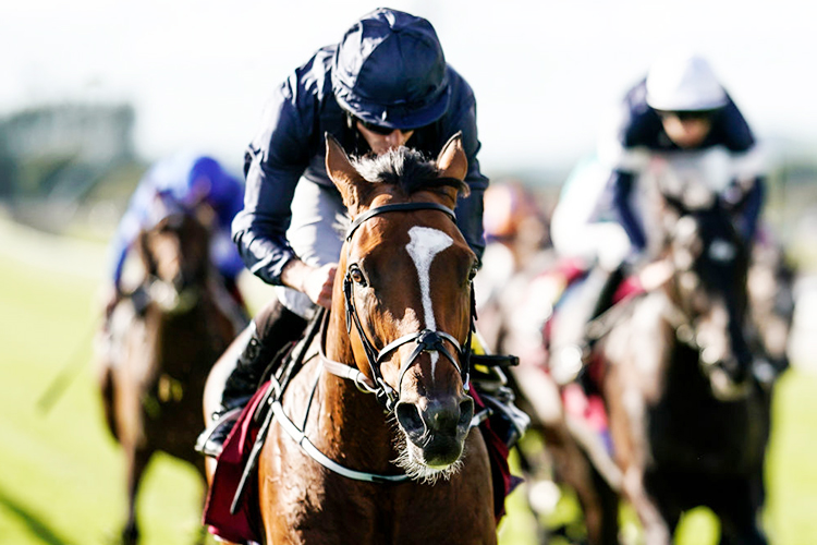 FLAG OF HONOUR winning the Comer Group International Irish St. Leger at Curragh in Kildare, Ireland.