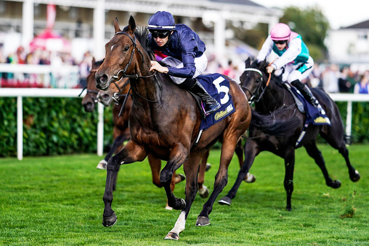 FLEETING winning the William Hill May Hill Stakes in Doncaster, United Kingdom.