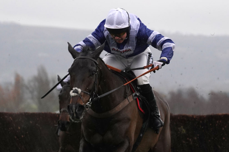 Frodon Frodon