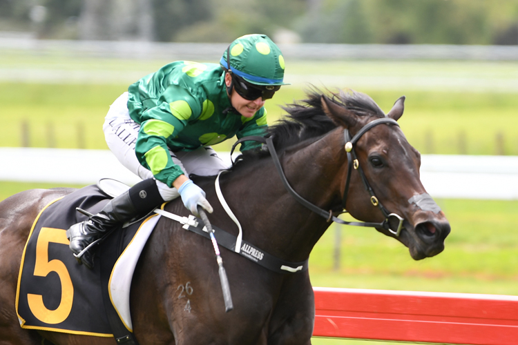 Gift Of Power winning the Fasttrack Insurance Levin Stks