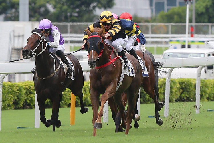 Glorious Forever winning the HOI HA HANDICAP Glorious Forever winning the HOI HA HANDICAP