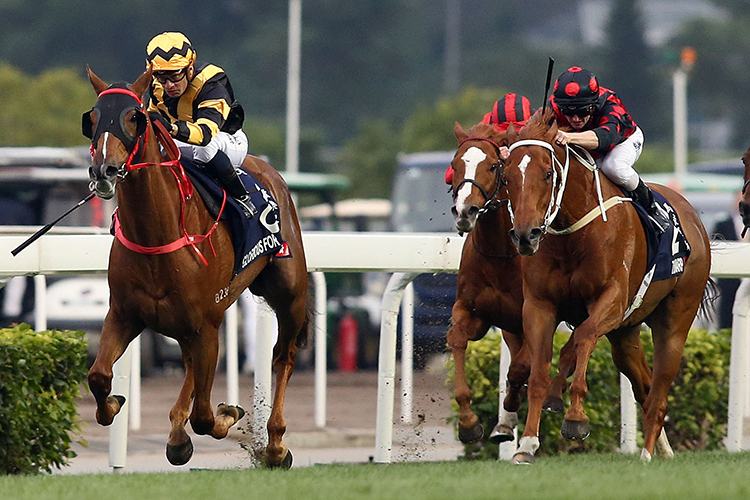 GLORIOUS FOREVER completes a clean sweep of all four G1s for Hong Kong with a win in the LONGINES Hong Kong Cup.