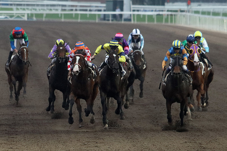 Me Tsui and Vincent Ho each notch doubles as Go Public (in blue/orange) takes Race 9. Me Tsui and Vincent Ho each notch doubles as Go Public (in blue/orange) takes Race 9.