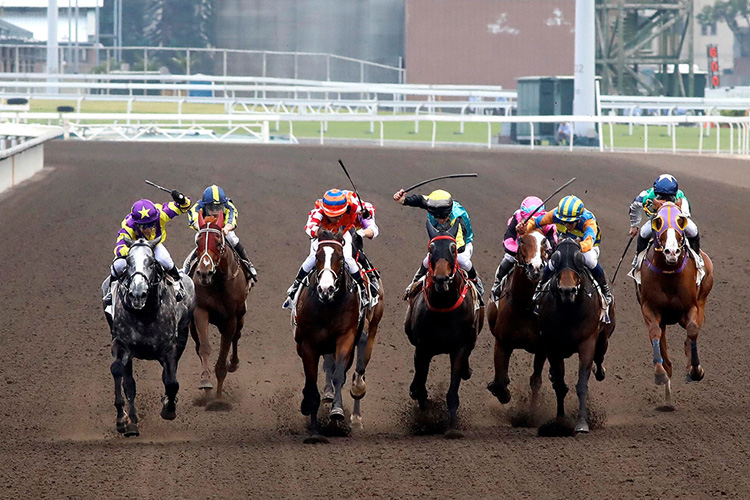 Vincent Ho steers Go Public (2nd from right) to win the day's feature, the Class 3 Yan Chai Trophy Handicap.