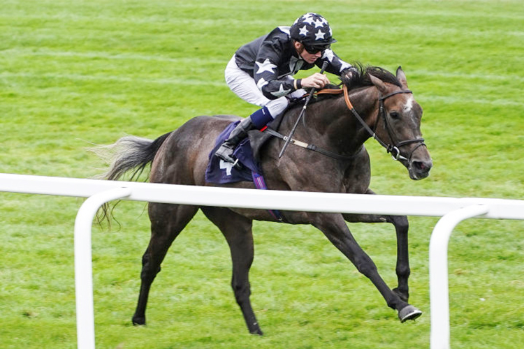 GOODNIGHT GIRL winning the Ossie & Hutch Memorial Fillies' Handicap Stakes in Windsor, United Kingdom.