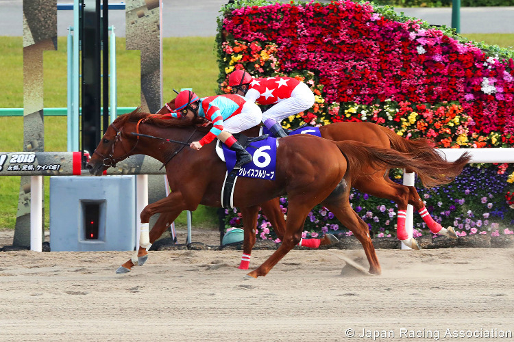 GRACEFUL LEAP winning the JBC Sprint at Kyoto in Japan.