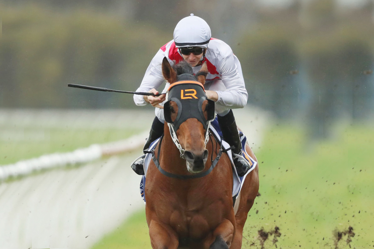 GRAFF winning the San Domenico during Sydney Racing at Rosehill Gardens in Sydney, Australia.