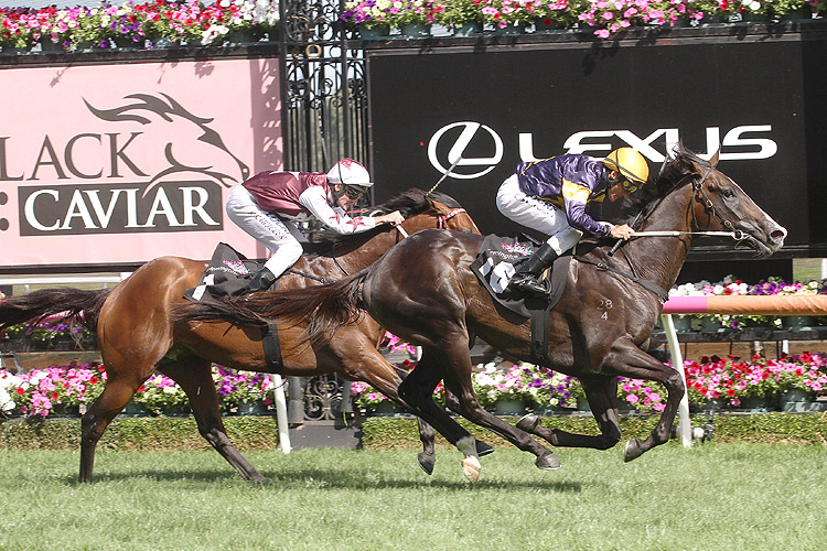 Grunt winning the C S Hayes Stakes