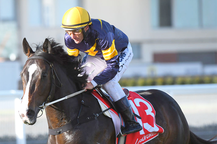 「咕噜」将于弗莱明顿赛场上一展身手