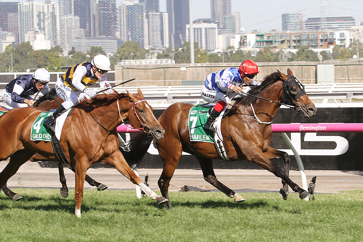 HARLEM winning the Australian Cup.
