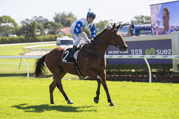Havasay winning the Swire Shipping Plate (C6) Havasay winning the Swire Shipping Plate (C6)