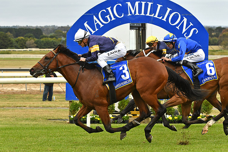 Hawker Hurricane winning the M.M. 2yo Clockwise Classic Hawker Hurricane winning the M.M. 2yo Clockwise Classic