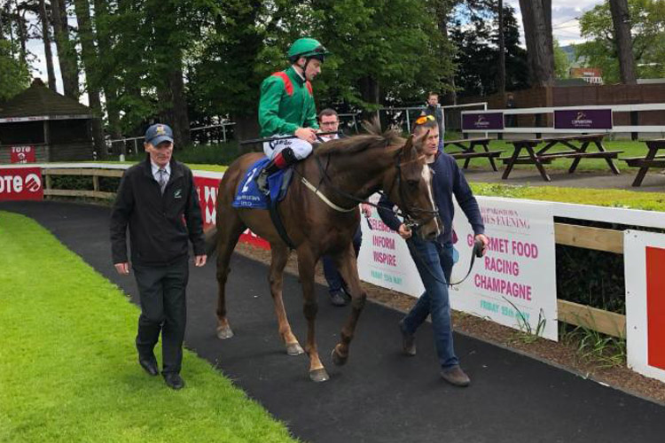 Hazapour led in after winning the Derrinstown Stud Derby Trial 2018