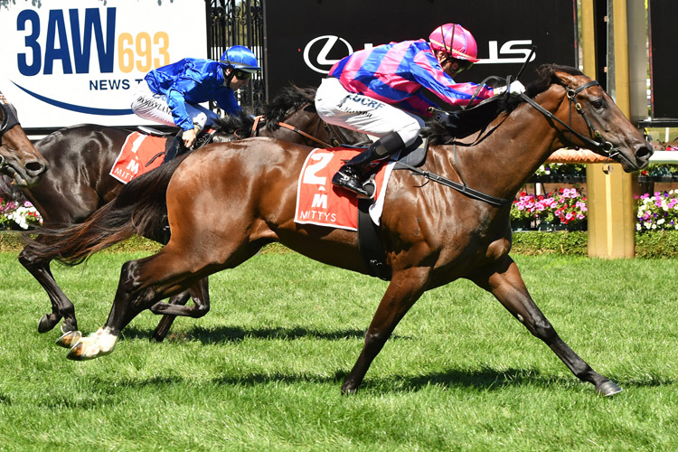 Hear To Chant looks a winner in Melbourne