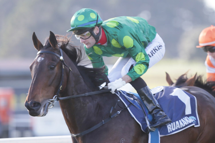 Hiflyer winning the Clansman Motel Bream Bay Bowl