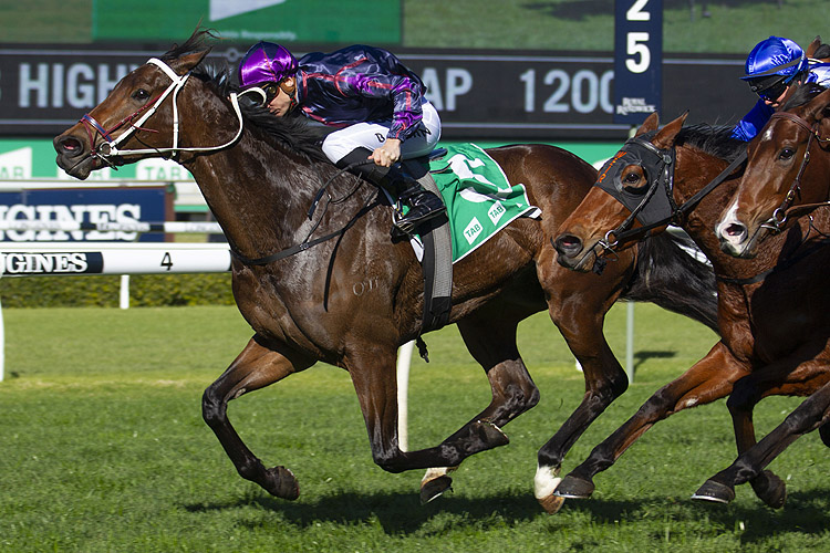 Highway Sixtysix winning the Tab Highway Hcp (C2) Highway Sixtysix winning the Tab Highway Hcp (C2)