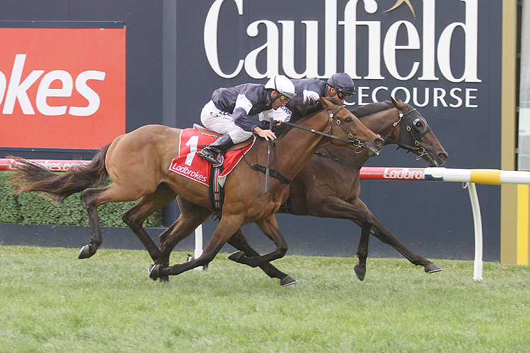 Homesman winning the Mornington Cup Prelude