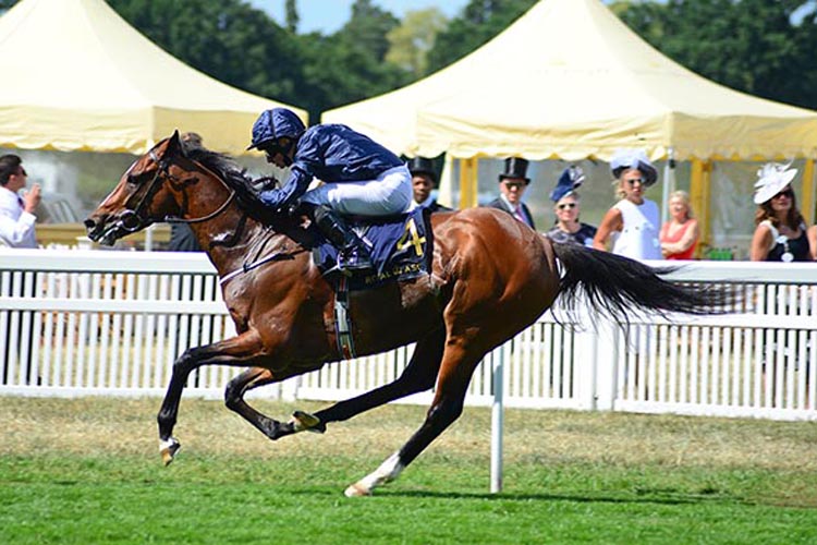Hunting Horn winning the Hampton Court Stakes (Group 3)