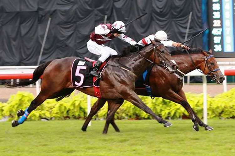 Hyde Park (Karis Teetan) hangs on for dear life as Taro San (Craig Grylls) comes wearing him down in Race 5.