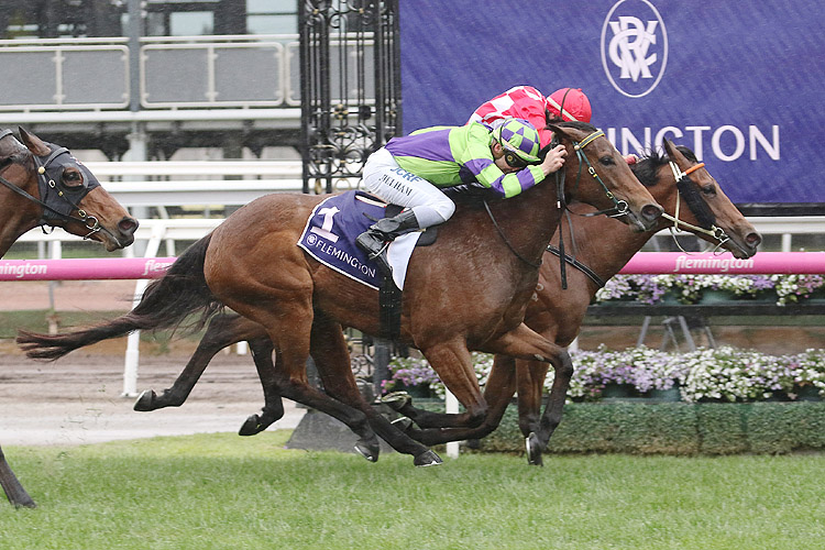 I Am A Star winning the Let's Elope Stakes