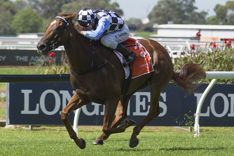 I Am Excited winning the Darby Munro Stakes