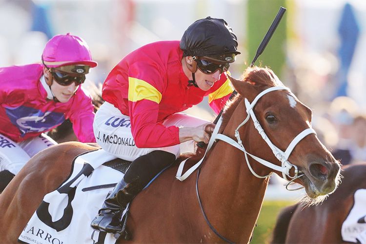 I AM SERIOUS winning the Harrolds Angst Stakes during Sydney Racing at Royal Randwick in Sydney, Australia. I AM SERIOUS winning the Harrolds Angst Stakes during Sydney Racing at Royal Randwick in Sydney, Australia.