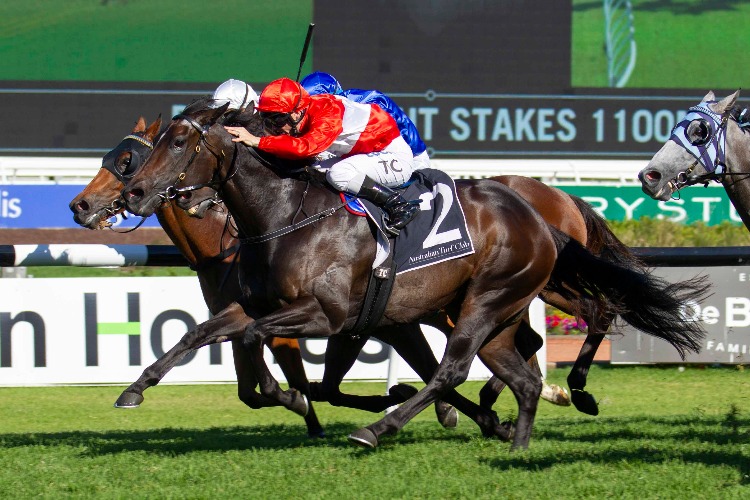 Invincible Star winning the Starlight Stakes