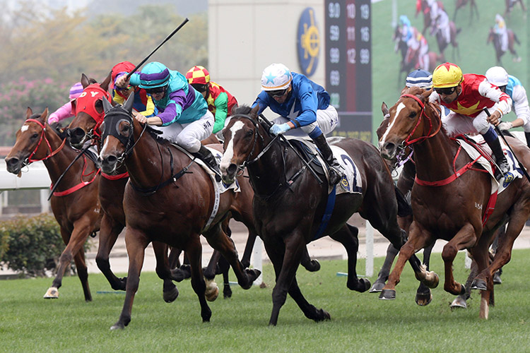ron Boy is well drawn for R8 at Happy Valley this Wednesday.