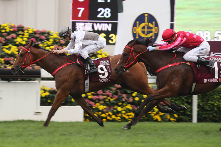 Mr Stunning (red cap) is just beaten by Ivictory in the Chairman’s Sprint Prize last year.