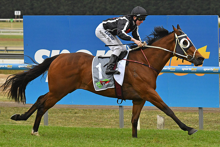 Jungle Edge winning the No Fuss Event Hire Tonks Plate Jungle Edge winning the No Fuss Event Hire Tonks Plate
