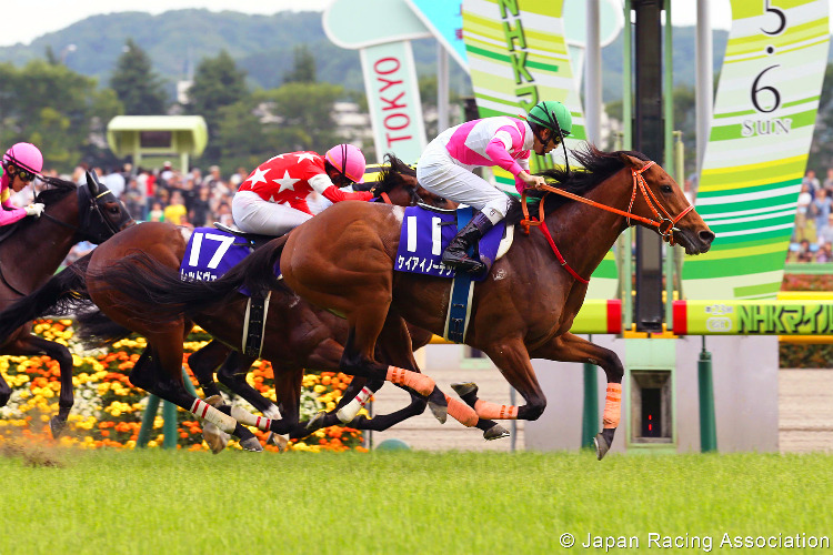 KEIAI NAUTIQUE winning the NHK Mile Cup at Tokyo in Japan.