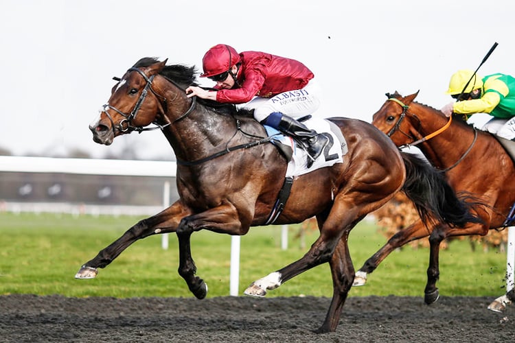 KINGS SHIELD winning the Betfred 'Like Us On Facebook' Conditions Stakes at Kempton Park in Sunbury, England.