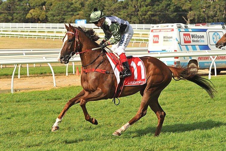 Kings Will Dream winning the Ladbrokes Mornington Cup